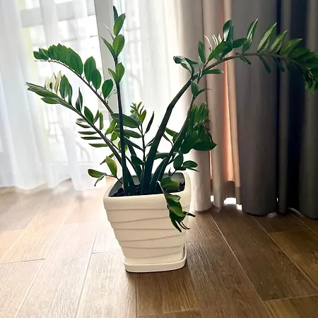 아파트 Osapart At A Complex Shevchenka 21 리비프