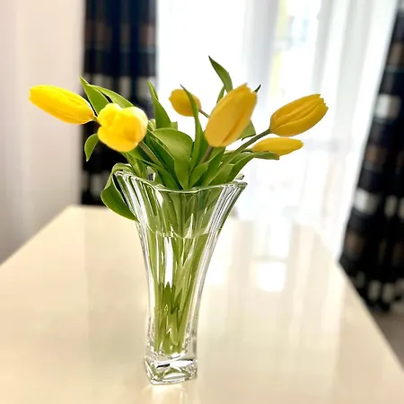 Osapart At A Complex Shevchenka 21 * 리비프