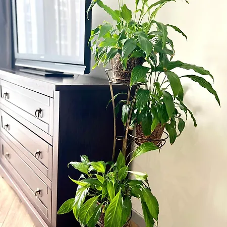 شقة Osapart At A Complex Shevchenka 21 *