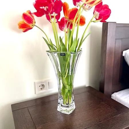 شقة Osapart At A Complex Shevchenka 21 *