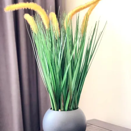 Osapart At A Complex Shevchenka 21 * إلفيف