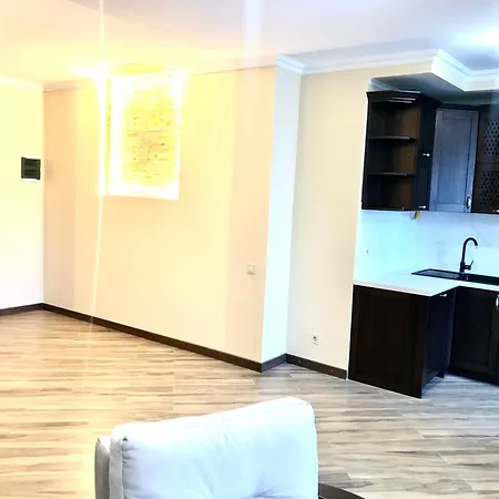 Osapart At A Complex Shevchenka 21 1 Apartment