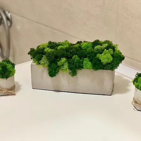 Osapart At A Complex Shevchenka 21