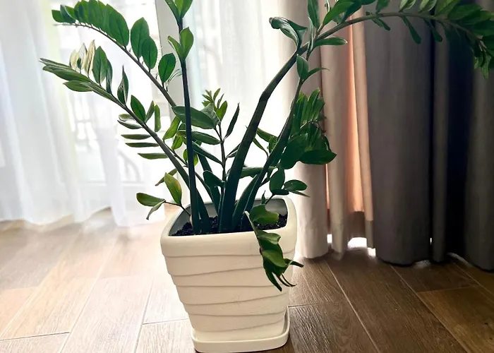 アパート Osapart At A Complex Shevchenka 21 リヴィウ