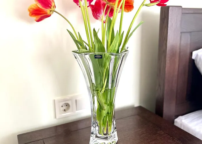 Apartmán Osapart At A Complex Shevchenka 21 *