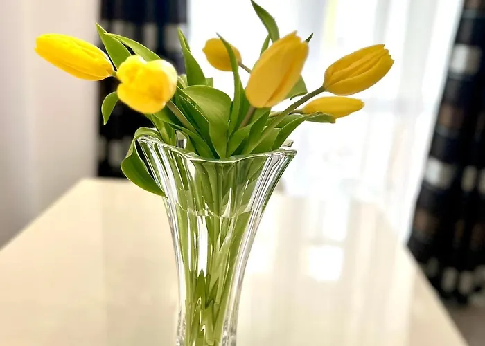 Osapart At A Complex Shevchenka 21 * Lvov