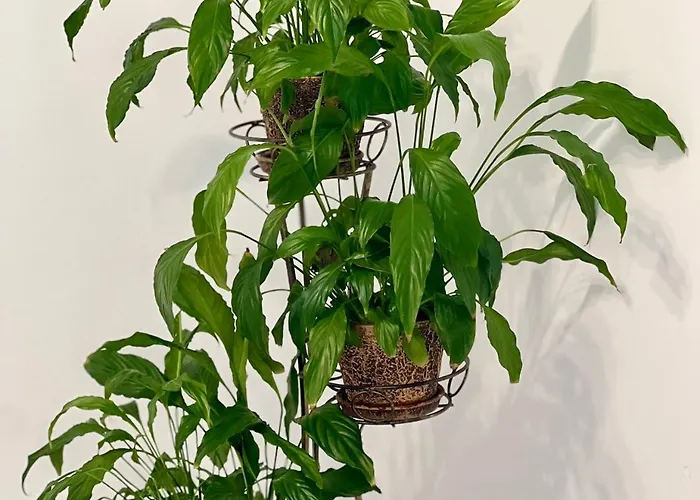 Apartmán Osapart At A Complex Shevchenka 21