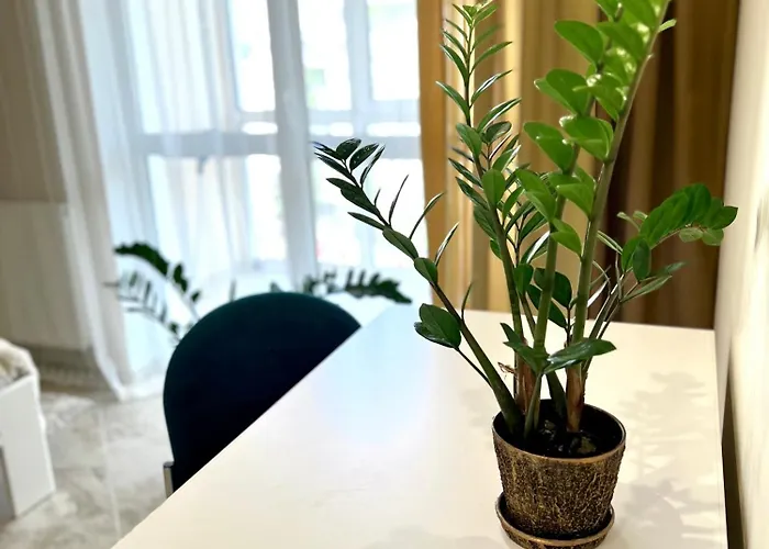 Osapart At A Complex Shevchenka 21