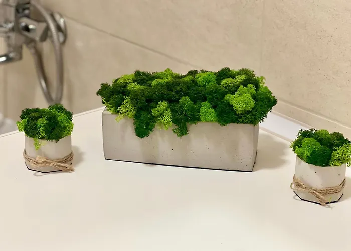 Osapart At A Complex Shevchenka 21